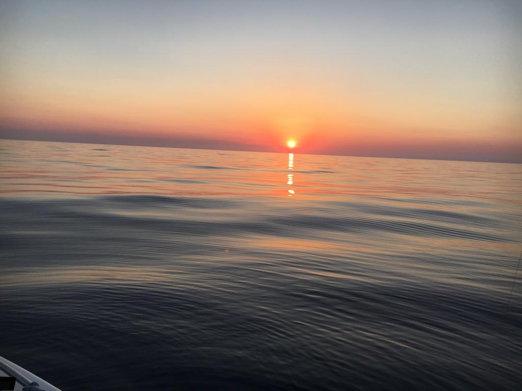 Krinakia Hébergement de vacances